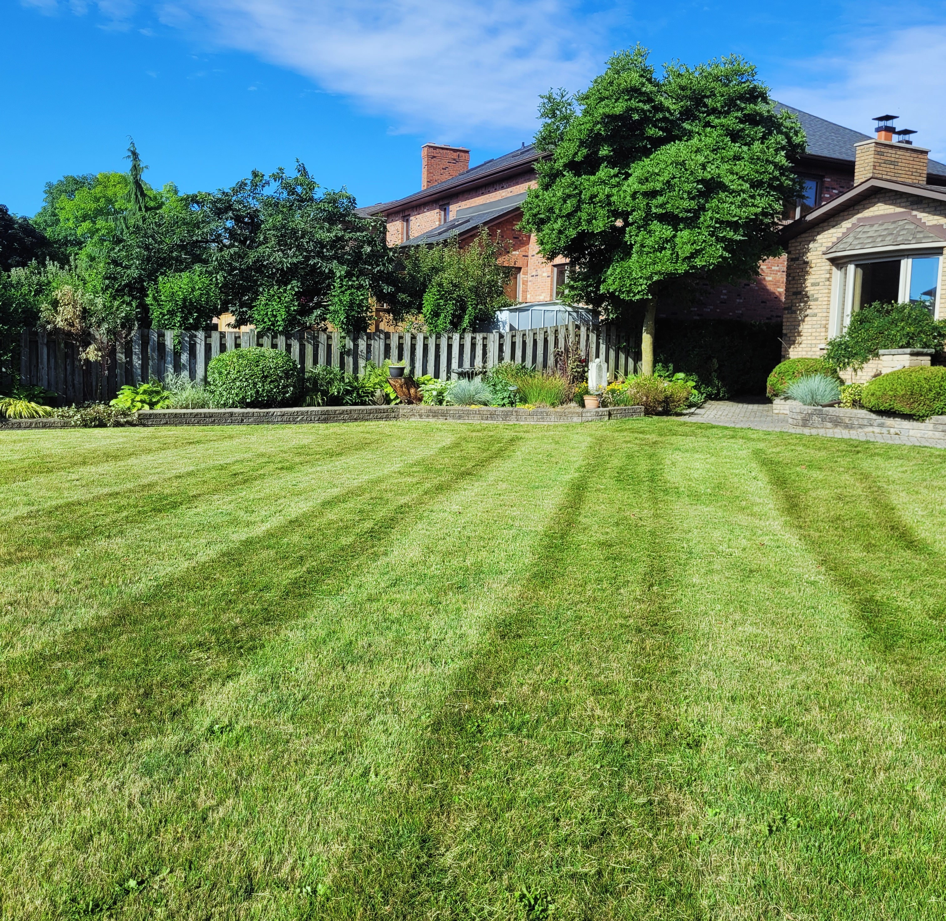 Lawn Care